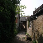Orpington